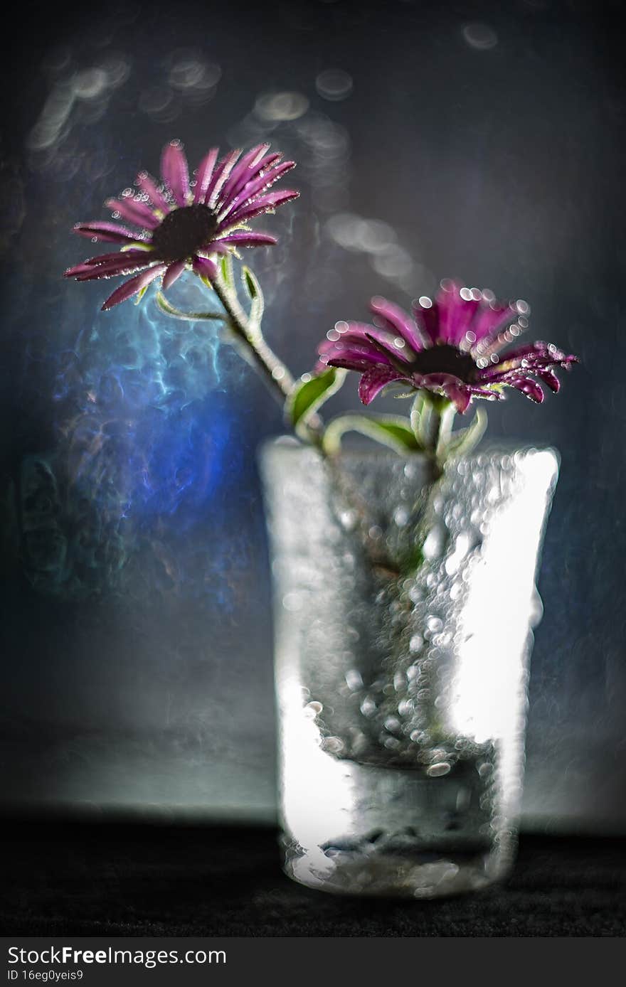 Picture with Shallow depth of field -flower in a glass vase and light bokeh