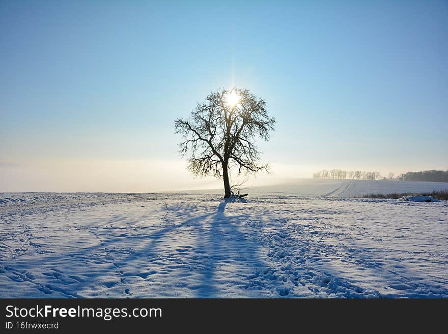 Sunrise behind a on a cold snowy winter day in the Spessart, Bavaria, Germany