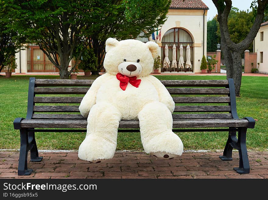 Plush polar bear sits on a bench. Big teddy bear outside. An unexpected surprise for a boy or girl. Life size doll. Valentine day. Plush polar bear sits on a bench. Big teddy bear outside. An unexpected surprise for a boy or girl. Life size doll. Valentine day