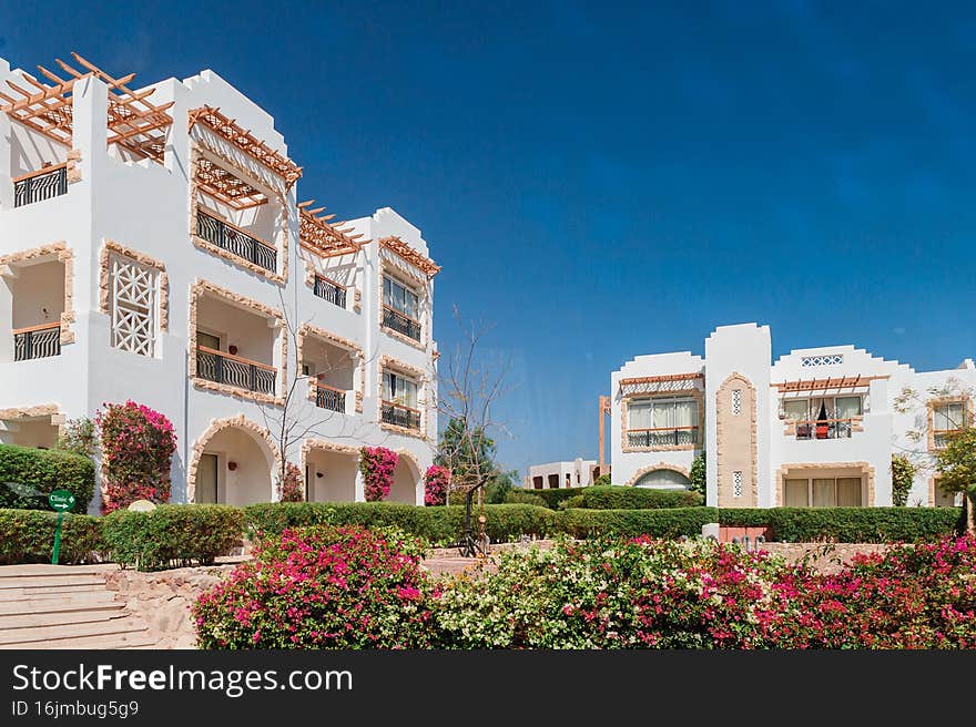 Luxury holiday villa with palm tree. Luxury holiday villa with palm tree.