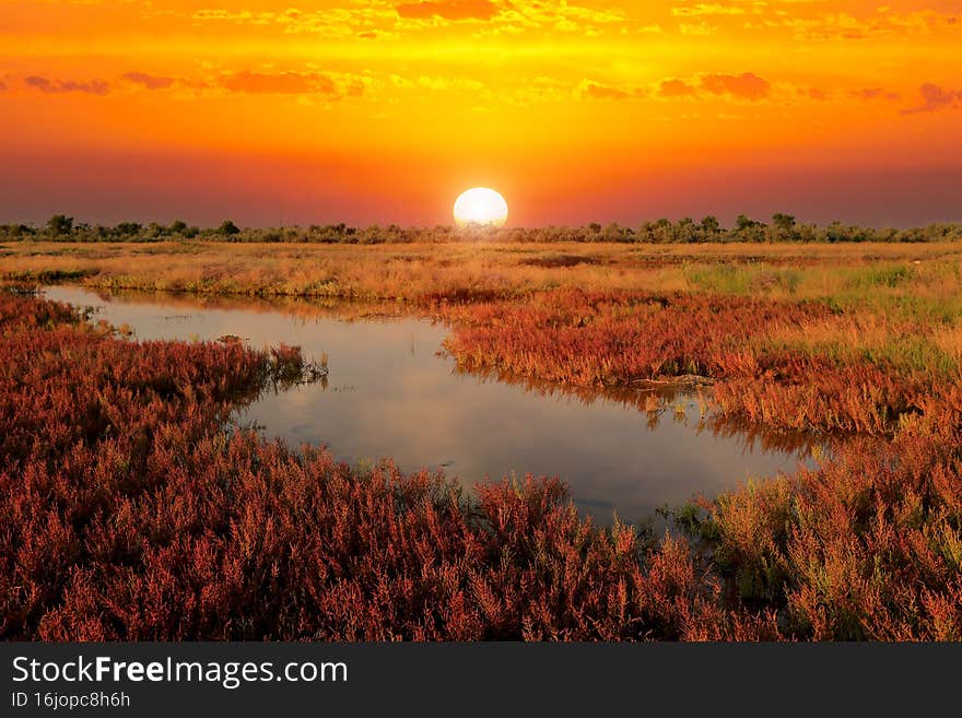 Red sunset scene over pond in steppe. Red sunset scene over pond in steppe