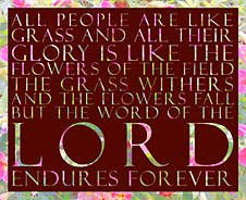 Word Of The Lord In Multicolored Flower Frame Stock Photography