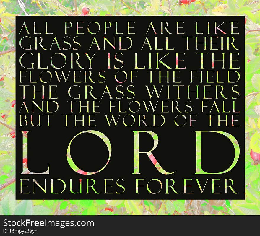 Illustration of 1 Peter 1: 24: All people are like grass, and all their glory is like the flowers of the field. The grass withers and the flowers fall, but the word of the Lord endures forever. Illustration of 1 Peter 1: 24: All people are like grass, and all their glory is like the flowers of the field. The grass withers and the flowers fall, but the word of the Lord endures forever