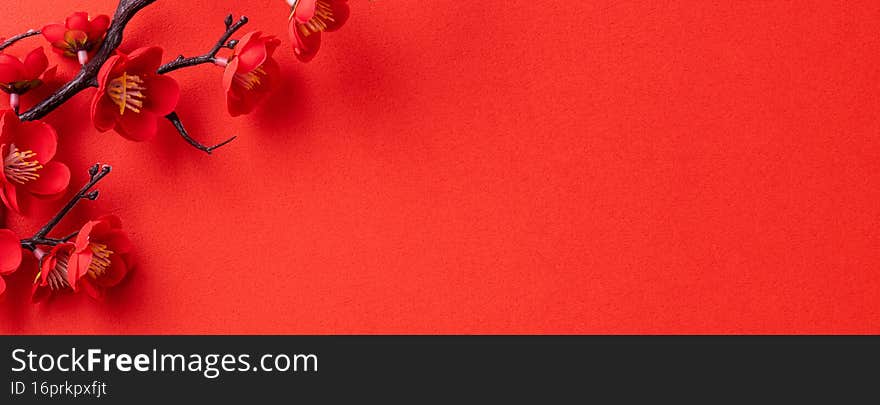 Chinese lunar new year background design concept with red plum blossom and festive decoration