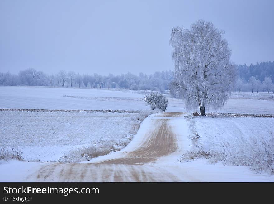 Snowy road. Misty winter day in Lithuania.