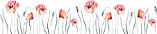 Watercolor Wildflowers Seamless Pattern With Poppy Cornflower Chamomile, Rye And Wheat Spikelets Background Royalty Free Stock Photo