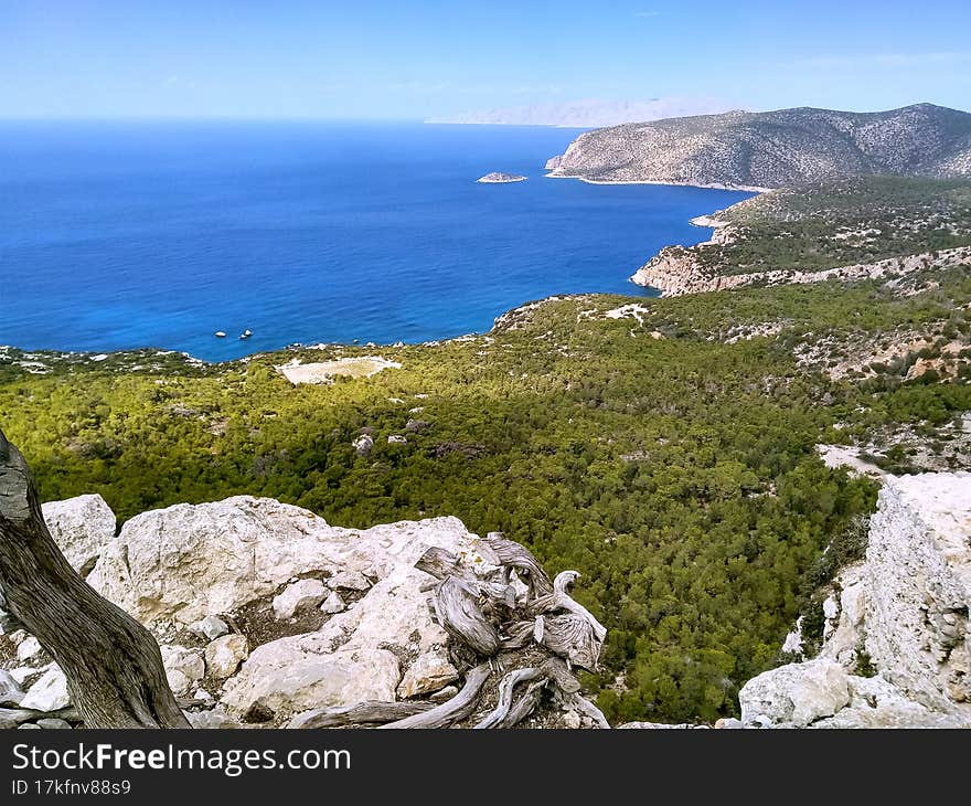 sea ponorama .beautiful landscape. green forest and sea. rocks and stones