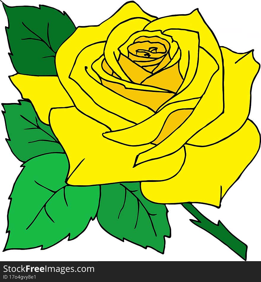 Contour Drawing Of A Yellow Rose, Yellow Graphics