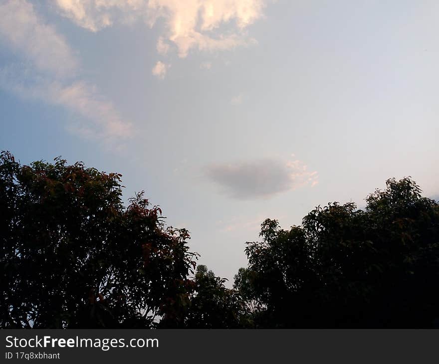 nature and sky at afternoon time