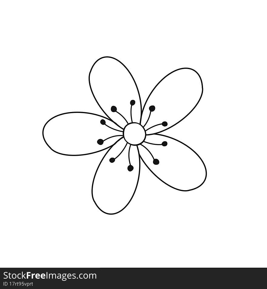 Isolated on white background top view. Hand drawn icon in a linear style