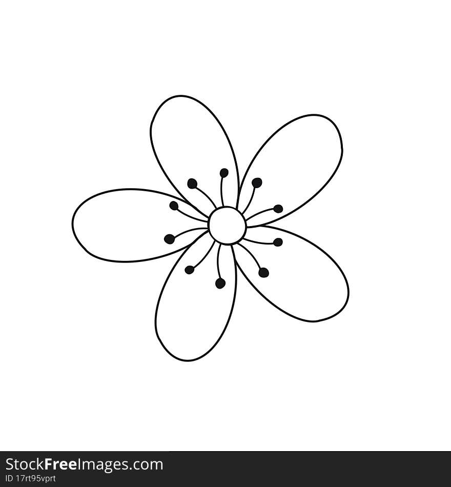 Isolated On White Background Top View. Hand Drawn Icon In A Linear Style