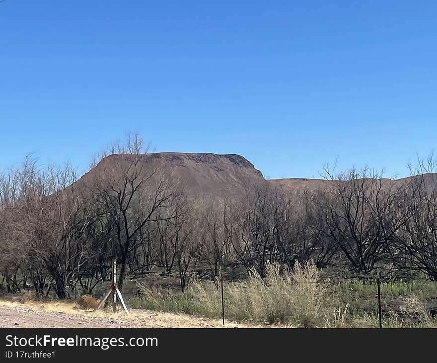 Desert Hill In The Spring. New Mexico.