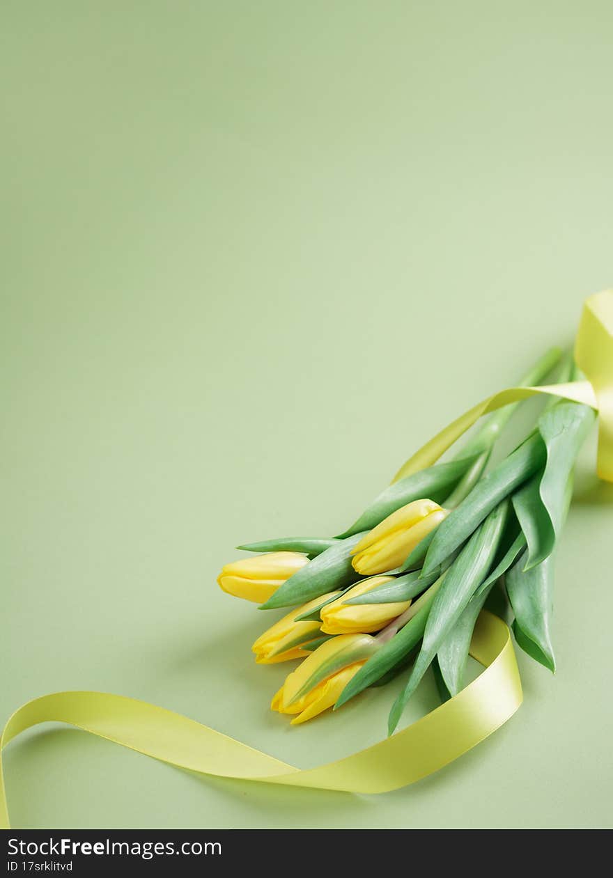 yellow tulips on a green background with the rabbon