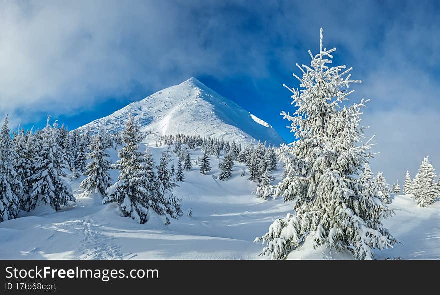 Beautiful sunny winter landscape in the mountains. Mountain and fir trees covered with snow