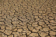 Dry Land With Many Cracks Royalty Free Stock Photo