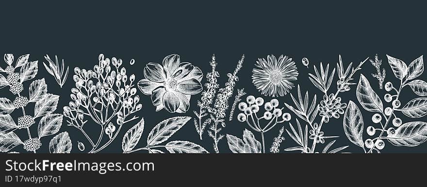 Hand sketched autumn banner on chalkboard. Fall leaves background and botanical sketch art. Vintage cover design with autumn leaves, berries, flowers, birds. Floral art for wall decoration and print Vector illustration
