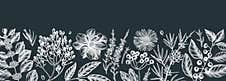 Hand Sketched Autumn Banner On Chalkboard. Fall Leaves Background And Botanical Sketch Art. Vintage Cover Design With Autumn Stock Images