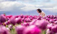 Caucasian Adult Woman Looking At Fresh Tulip Flowers In A Field. Royalty Free Stock Photos