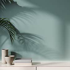 Mock Blue Wall With Palm Leaf Shadow, 3d Illustration Stock Photography