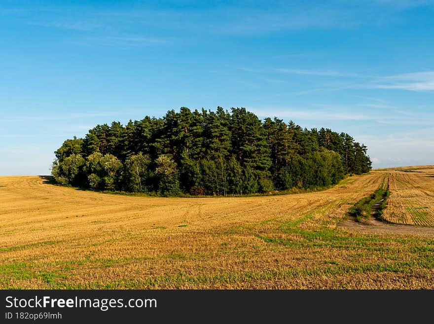 Agro-industrial complex for the cultivation of cereals, wheat, rye, corn and barley. The use of low-quality and non-natural fertil