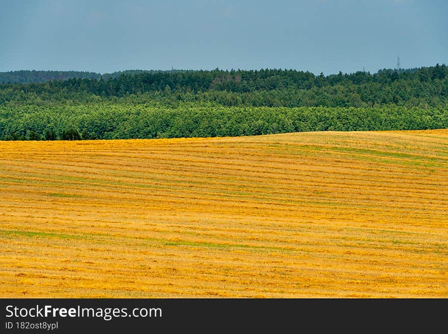 Agro-industrial complex for the cultivation of cereals, wheat, rye, corn and barley. The use of low-quality and non-natural fertilizers for the sowing campaign. Poor harvest and the threat of famine