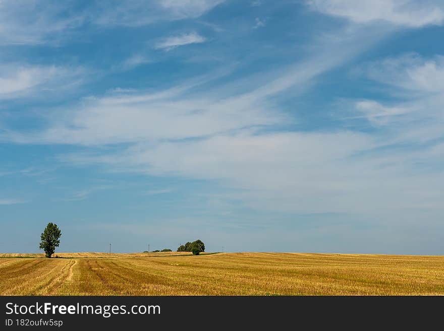 Agro-industrial complex for the cultivation of cereals, wheat, rye, corn and barley. The use of low-quality and non-natural fertilizers for the sowing campaign. Poor harvest and the threat of famine