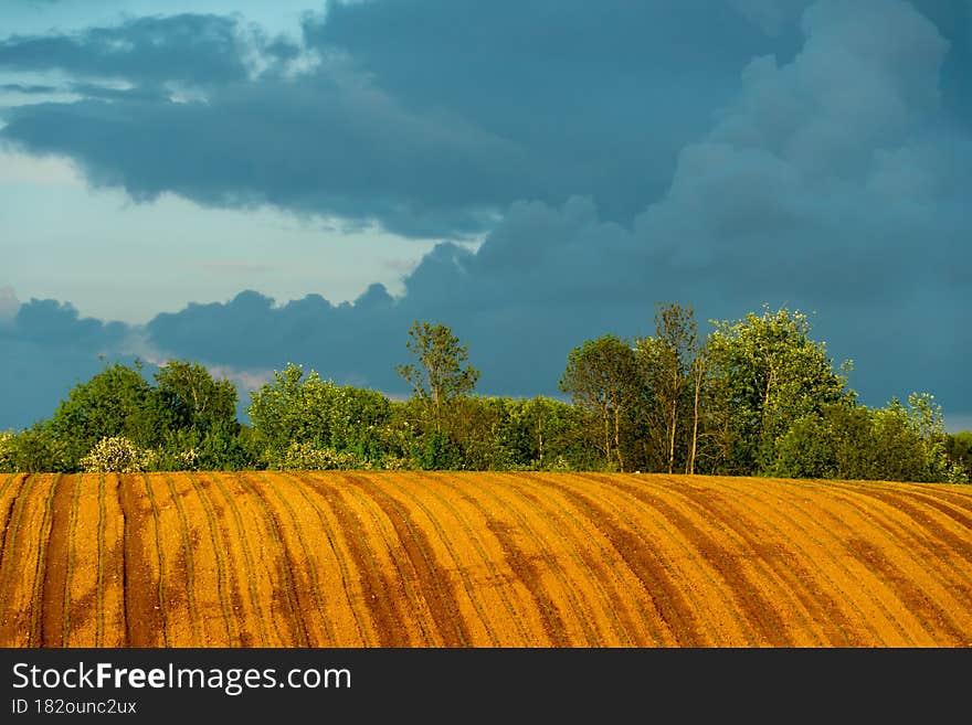 Agro-industrial complex for the cultivation of cereals, wheat, rye, corn and barley. The use of low-quality and non-natural fertilizers for the sowing campaign. Poor harvest and the threat of famine