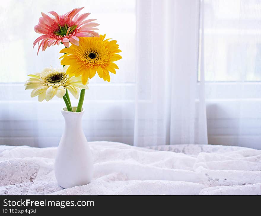 Beautiful yellow daisy Gerbera jamesonii daisy flower in vase on table ,Barberton Transvaal daisy copy space for text or lettering flower in ceramic on wooden table window light background or wallpaper celebrating. Beautiful yellow daisy Gerbera jamesonii daisy flower in vase on table ,Barberton Transvaal daisy copy space for text or lettering flower in ceramic on wooden table window light background or wallpaper celebrating