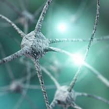 Neural Network And Signal Royalty Free Stock Image
