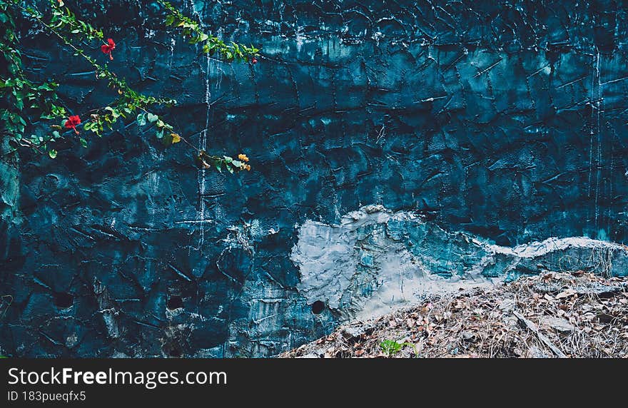Natural background of the wall with green leaves.