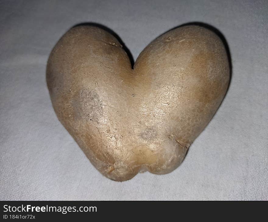 A rare heart shaped potato on a white background