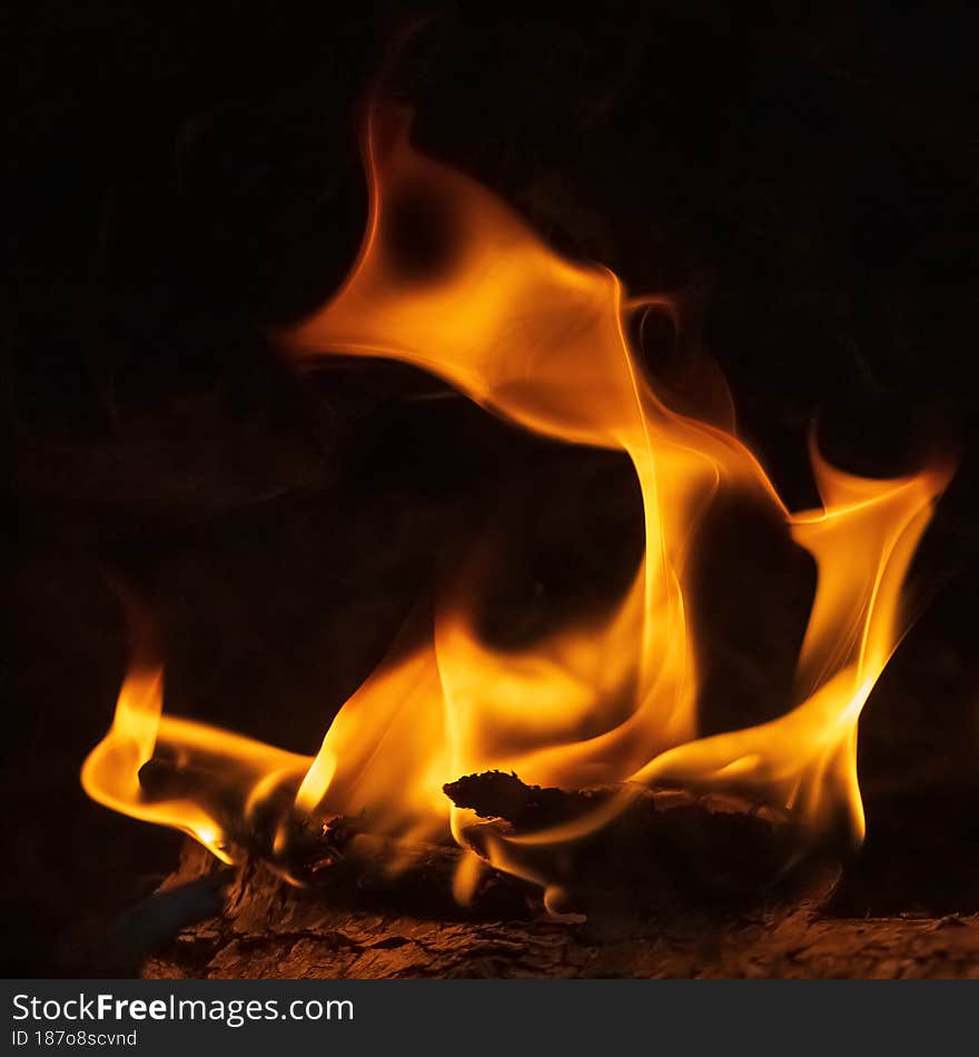 Fire flames abstract on black background, fire art