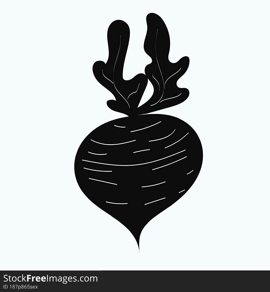 Black Radish Illustration For Your Designs