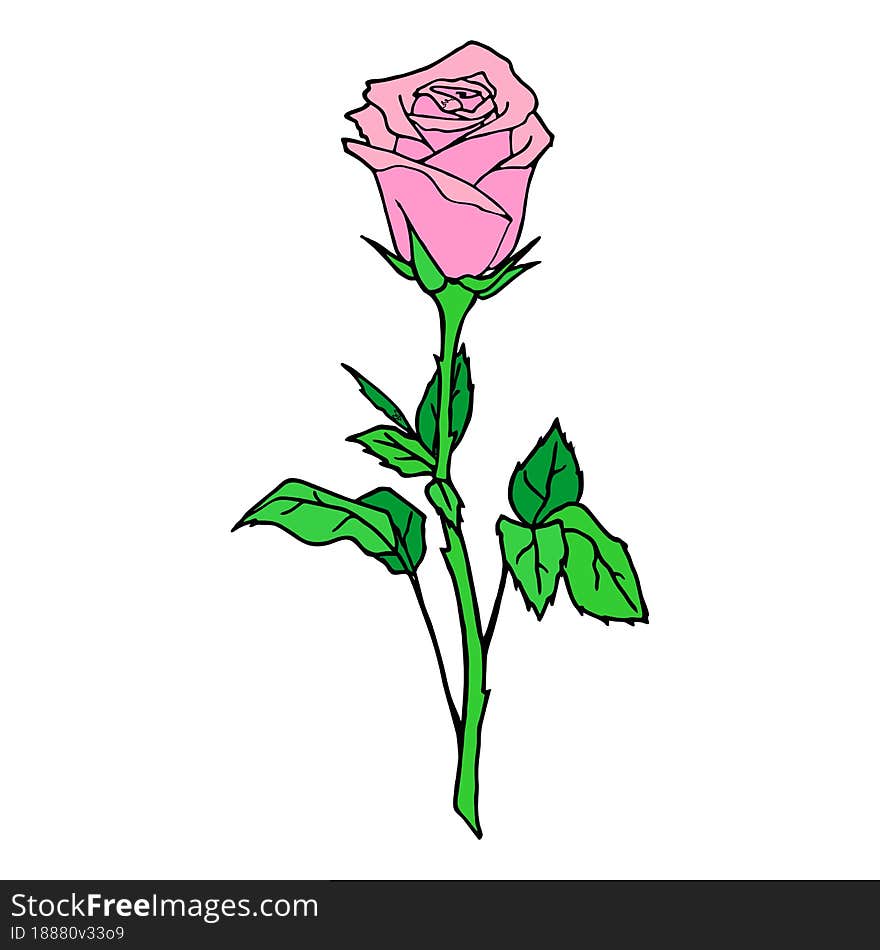 Color Graphic Drawing Of One Pink Rose On A White Background, Design, Art, Valentine