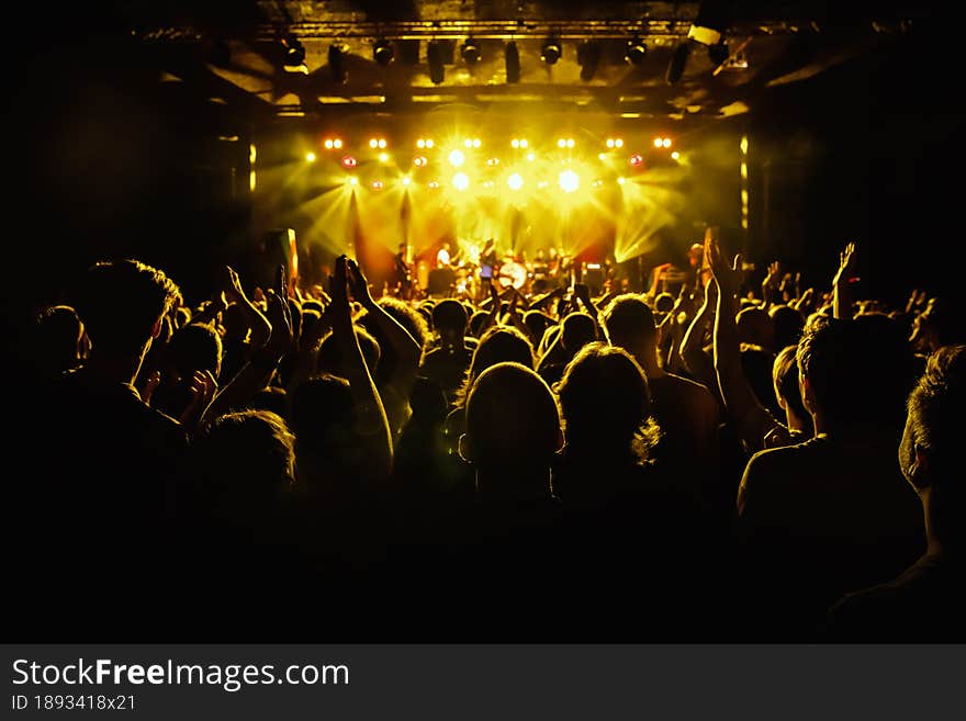 Concert hall. A crowd of spectators in front of the stage.