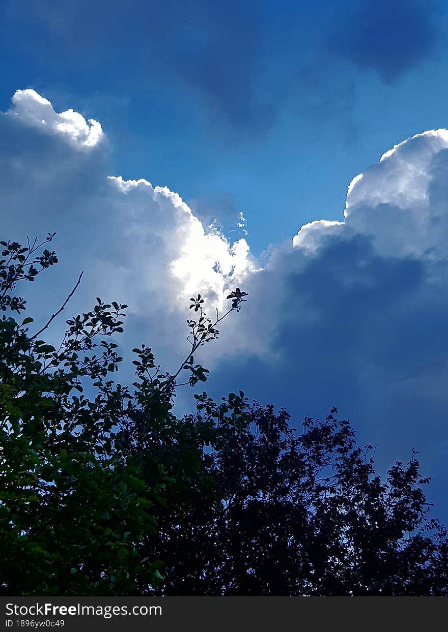 all shades blues. A striking white popping out like a fountain of purity!