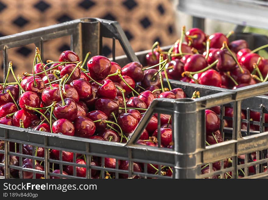 Red fruits. The cherries are ripe. Food market. Fresh harvest. Rural theme. Vitamins in summer foods. Red fruits. The cherries are ripe. Food market. Fresh harvest. Rural theme. Vitamins in summer foods.