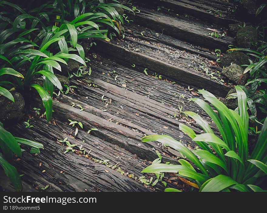 Old rustic wooden stairs in the garden.