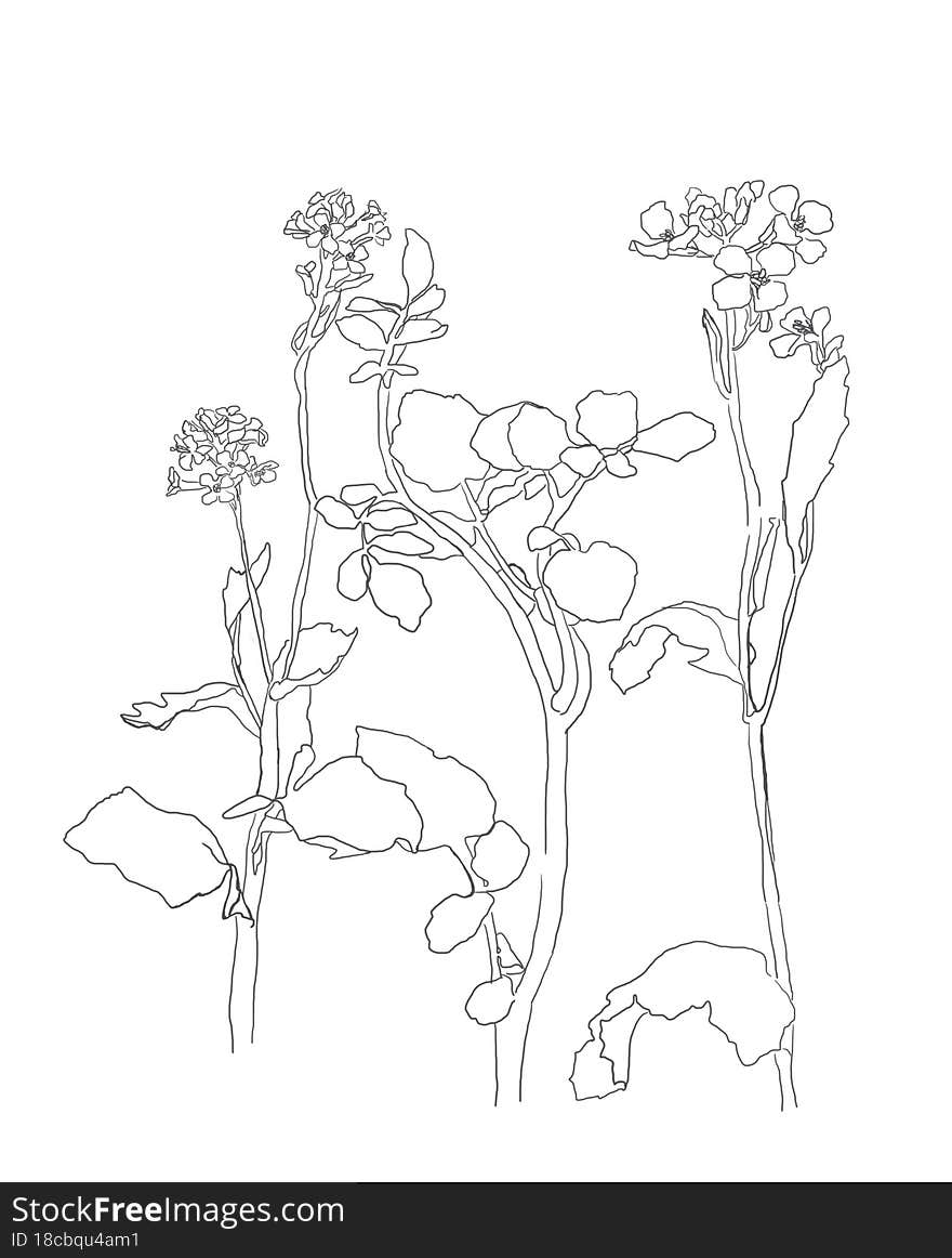 Botanical Modern Single Line Art, Aesthetic Contour. Perfect for Home Decor, Wall Art Posters, or t-shirt Print, Mobile Case. Continuous Line Drawing of Flowers