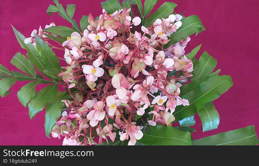 Beautiful flower vase with wild flowers made by poor school children