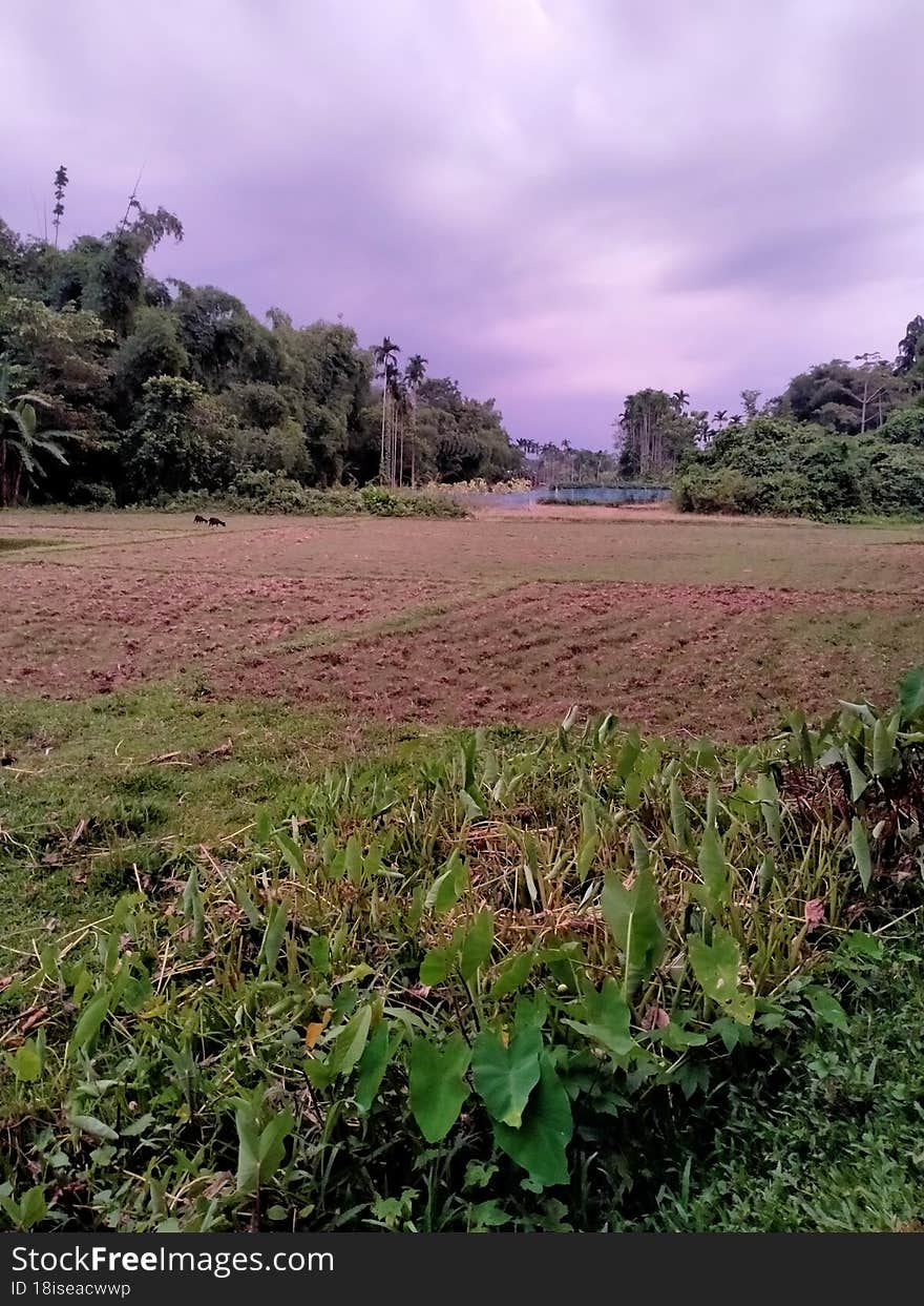 Indian Village farming land photo