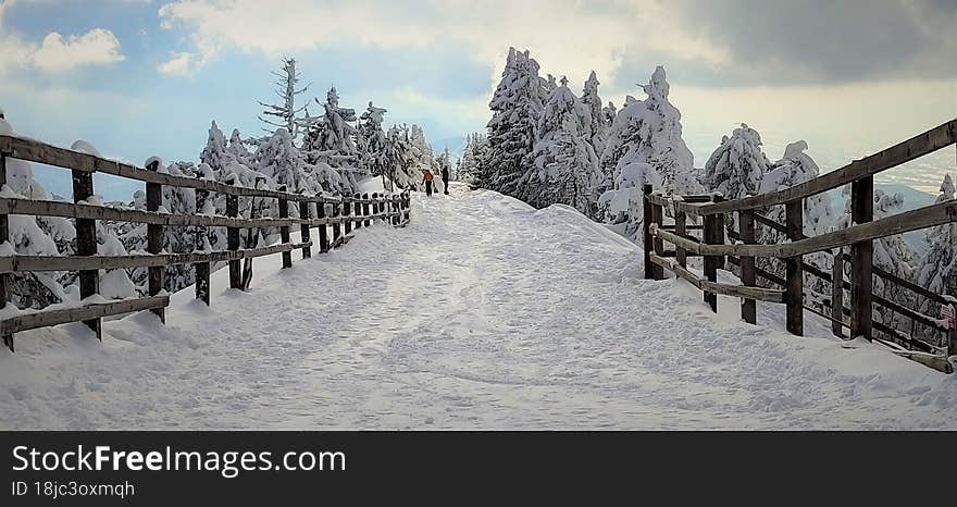 Idyllic winter landscape of the magnific Carpathian mountains with lush mountain forests with trees packed with snow. View from 1799 m altitude ski track on Postavarul Massif, Brasov Romania 2022. Idyllic winter landscape of the magnific Carpathian mountains with lush mountain forests with trees packed with snow. View from 1799 m altitude ski track on Postavarul Massif, Brasov Romania 2022