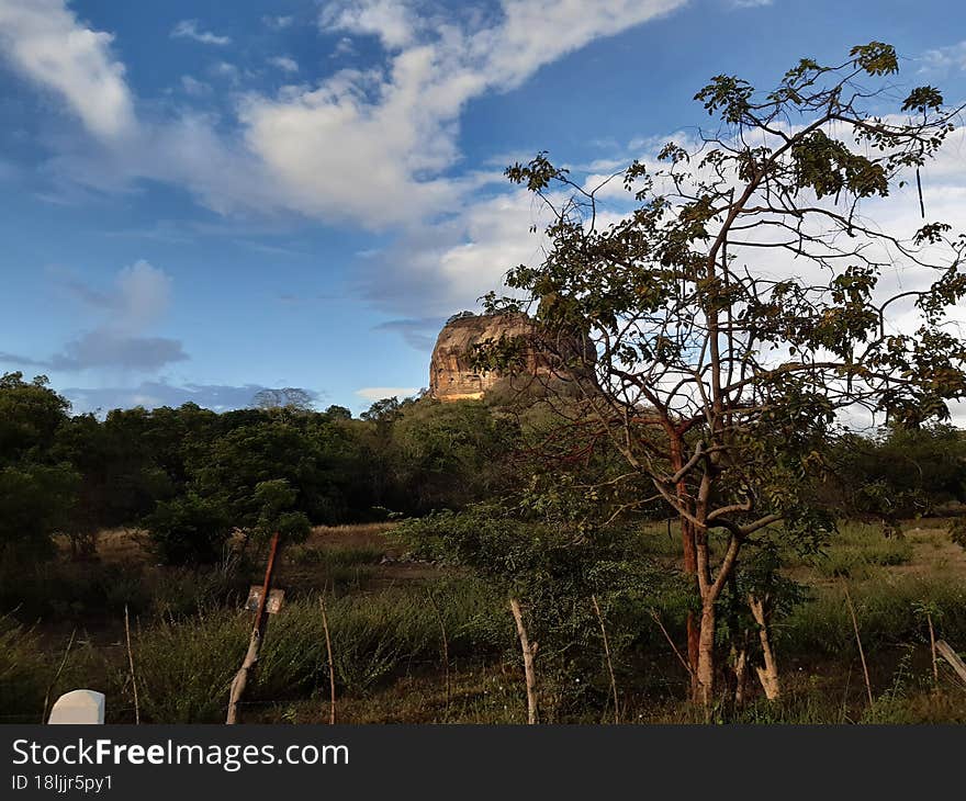 Sri Lanka is one of the most bio-diverse islands in the world. This image is got near Sigiriya area.  Sigiriya is one of the most