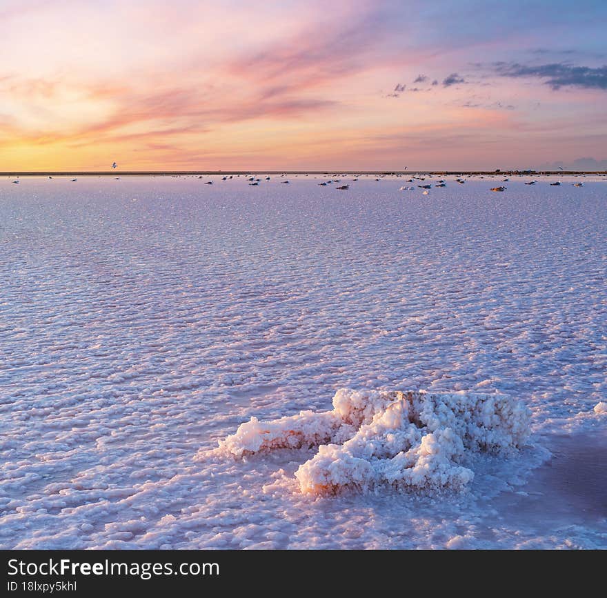 Sunset on the Genichesk pink extremely salty lake colored by microalgae with crystalline salt depositions, Ukraine. Sunset on the Genichesk pink extremely salty lake colored by microalgae with crystalline salt depositions, Ukraine