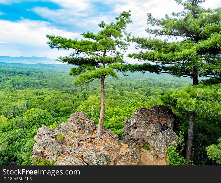 Rocky hill with abundant vegetation. Cedars grow right in the rocky rock. Nature protection zone near Khabarovsk in the Khekhtsir