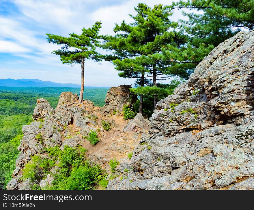 Rocky hill with abundant vegetation. Cedars grow right in the rocky rock. Nature protection zone near Khabarovsk in the Khekhtsir