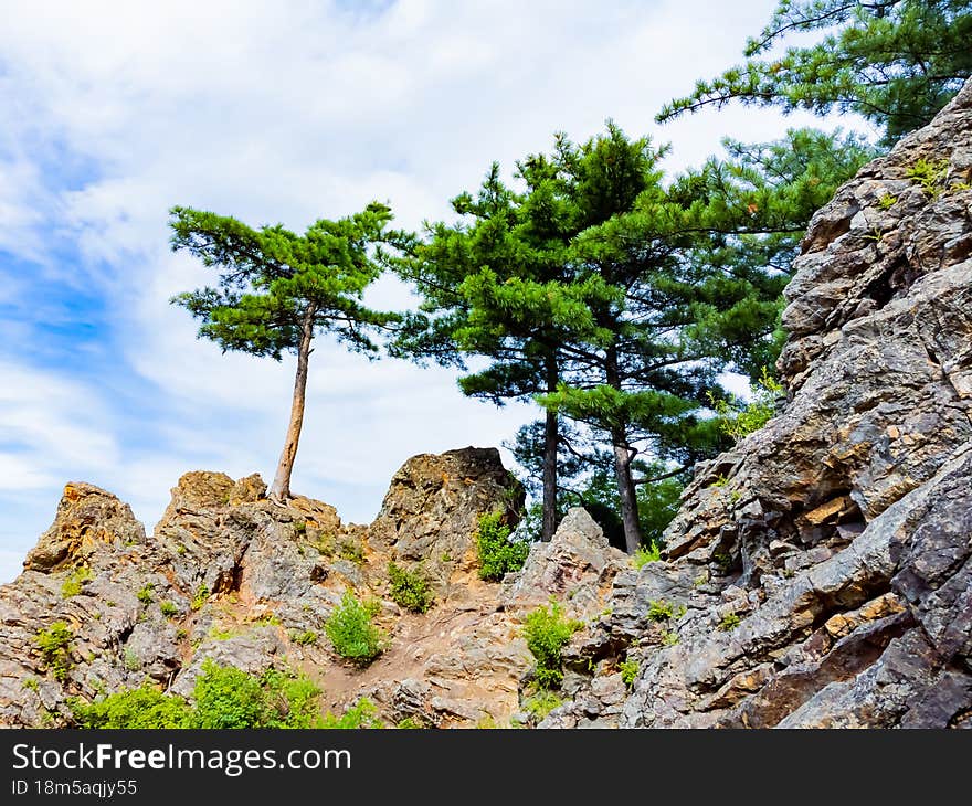 Rocky hill with abundant vegetation. Cedars grow right in the rocky rock. Nature protection zone near Khabarovsk in the Khekhtsir Nature Reserve. The Snake Hill is a favorite place for tourists to take pictures. The photo was taken from a drone.