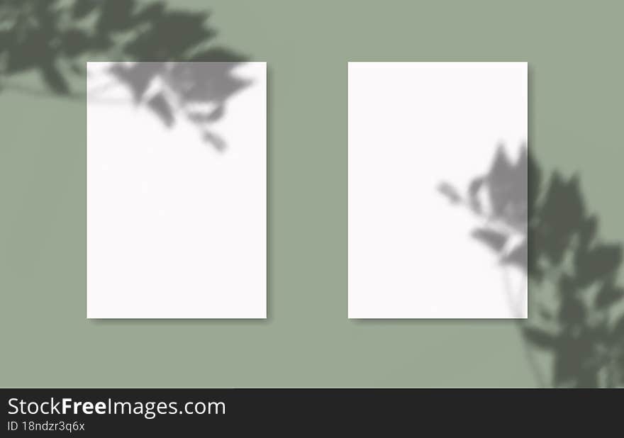 Modern minimalist style.Scenes of natural lighting.Drop shadow overlay effect on sheets of paper.For presentation poster, blank, flyer,invitation,logo. Modern minimalist style.Scenes of natural lighting.Drop shadow overlay effect on sheets of paper.For presentation poster, blank, flyer,invitation,logo.