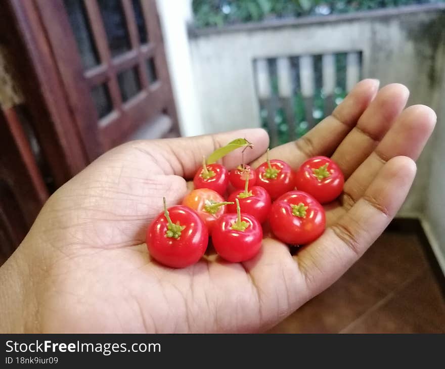 Red cherry on hand ripe fruits