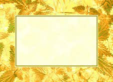 Vintage Frame With Leaves Stock Photography